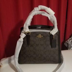 COACH HANDBAG/CROSSBODY BAG